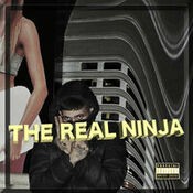The Real Ninja