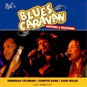 Blues Caravan 2008 - Guitars & Feathers