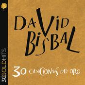 David Bisbal 30 Canciones De Oro