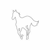 White Pony (U.S. Version)