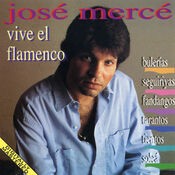 Vive El Flamenco: Bulerias - Seguiriyas - Fandangos - Tientos - Tangos