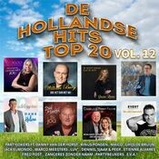 Hollandse Hits Top 20 vol. 12