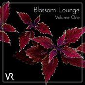 Blossom Lounge, Vol.1