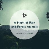 A Night of Rain and Forest Animals