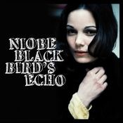 Blackbird's Echo