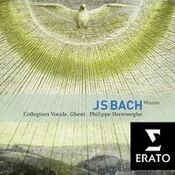 Bach : Masses BWV 233-235, Sanctus BWV 238