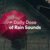 Daily Dose of Rain Sounds
