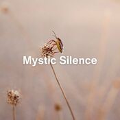 Mystic Silence