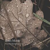 Rain Music: Peaceful Raindrops Vol. 1