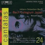BACH, J.S.: Cantatas, Vol. 24 (Suzuki) - BWV 8, 33, 113