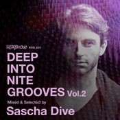 Deep Into Nite Grooves, Vol. 2 (DJ Mix)