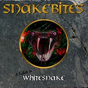 A Tribute to Whitesnake