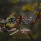 50 Beautiful Nature Sounds for Sleep and Chilling Out