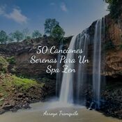 50 Canciones Serenas Para Un Spa Zen