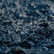 50 Relaxing Rain Shower Sounds for Zen Spa