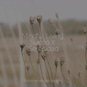 Mindful Living Sueño Y Serenidad