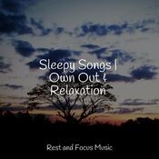 Sleepy Songs | Own Out & Relaxation
