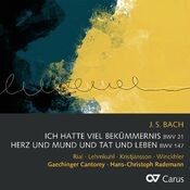 Bach, J.S.: Ich hatte viel Bekümmernis, Cantata BWV 21; Herz und Mund und Tat und Leben, Cantata BWV 147