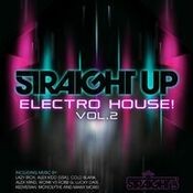 Straight Up Electro House! Vol. 2