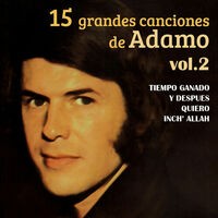 15 Grandes Canciones, Vol. 2