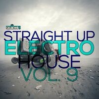 Straight Up Electro House! Vol. 9