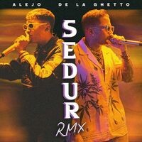 SEDUR (Remix)