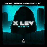 X Ley (feat. Dei V) (Remix)