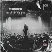 Tenax ( Selection of Tenax Recordings ) (Compilation)