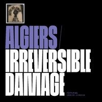 Irreversible Damage (Lil Obeah & Petru Birladeanu Transylvanian Dub)
