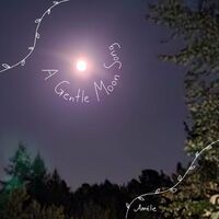 A Gentle Moon Song (feat. Dave Nachmanoff & Bart van der Zeeuw)