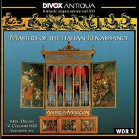 Organ Music - Cavazzoni, M. / Fogliano, J. / Antico, A. / Valente, A. / Macque, G. (Historic Organ Series, Vol. 7)