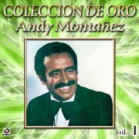 Colección de Oro: El Espectacular Andy Montañez, Vol. 1