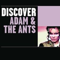 Discover Adam & The Ants