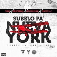 Subelo Pa' Nueva York (Remix)