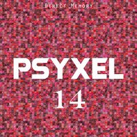 Psyxel, Vol 14