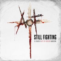 Still fighting - 15 years of Art of Fighters Hardcore