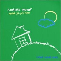 Coming Home (feat. John Martin) (Vintage Culture Remix)