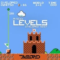 Levels (Dveloped Remix)