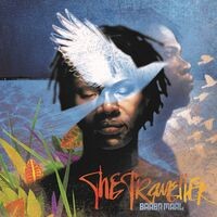 The Traveller (Special Edition)