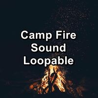 Camp Fire Sound Loopable