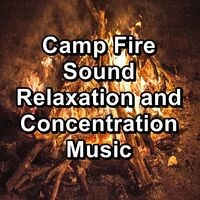 Camp Fire Sound Relaxation and Concentration Music