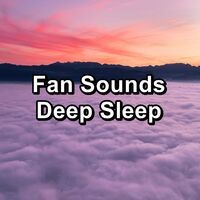Fan Sounds Deep Sleep