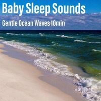Gentle Ocean Waves (Shortened)