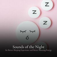 Sounds of the Night for Better Sleeping Experience and Better Morning Energy