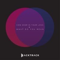 How Deep Is Your Love / What Do You Mean? (Mashup) - Single