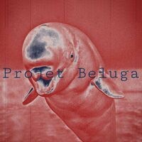 Projet Beluga