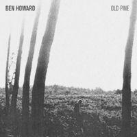 The Old Pine E.P.