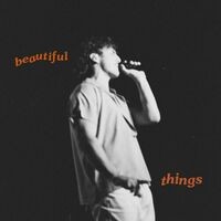 Beautiful Things (Alternate Versions)