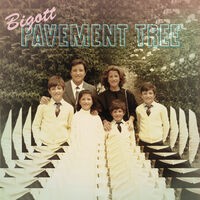 Pavement Tree