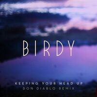 Keeping Your Head Up (Don Diablo Remix)
